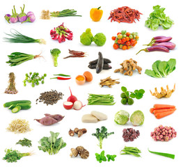 Vegetable and herb collection  on white background