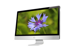 modern LCD monitor with cornflower  on screen.