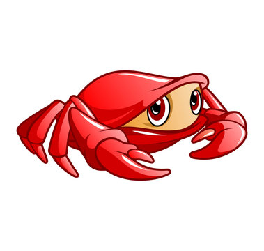 crab new