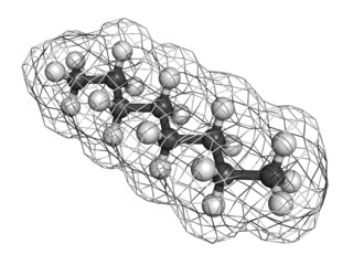 Octane hydrocarbon, molecular model.