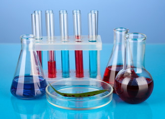 Test-tubes and green leaf tested in petri dish,