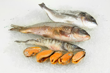 Fresh seafood on ice