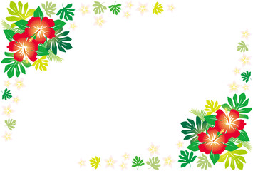 ハイビスカスフレーム