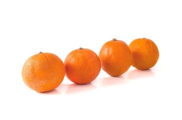Orange fruit