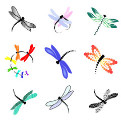 set of images of dragonflies