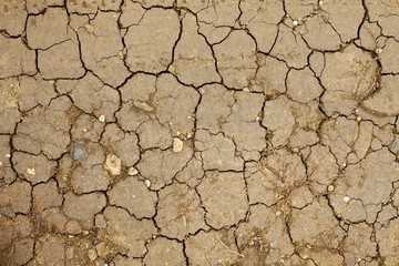 Dry Soil