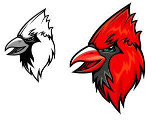 Cardinal birds