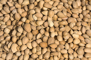 Almond closeup background