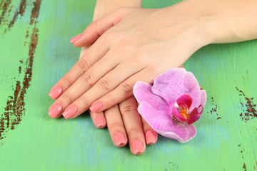 Woman hands with pink manicure and orchid on color background