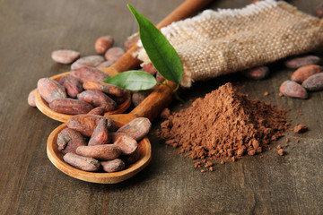 Cocoa beans in spoons and cocoa powder on wooden background