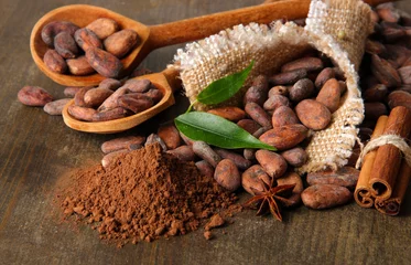  Cacaobonen in lepels, cacaopoeder en kruiden © Africa Studio