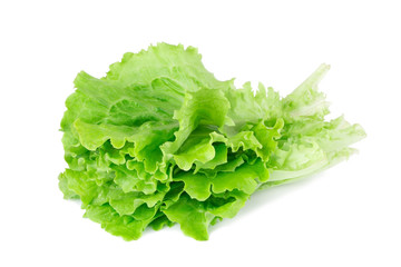 lettuce