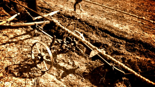 old wooden plow and horses
