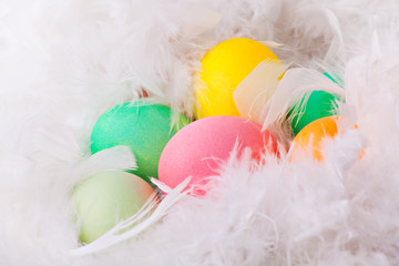 Colorful easter eggs in white feathers