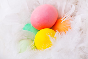 Colorful easter eggs in white feather