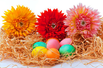 Fototapeta na wymiar Colorful easter eggs and flowers