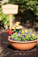 Blumen auf einem Grab (Friedhof)