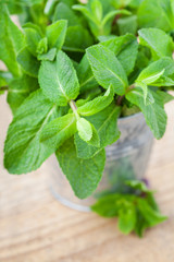 Bunch of fresh mint in pot on wooden background