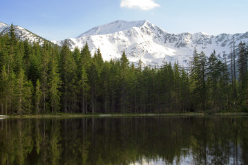 Fototapeta na wymiar ośnieżony górski szczyt ponad lasem