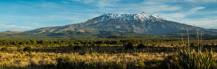 Tongariro NP Mt Ruapehu