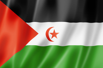 Sahrawi flag