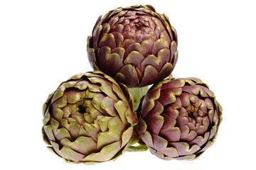 Obraz premium Carciofi