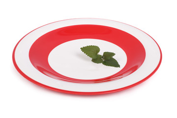 A large plate is white with red trim and mint leaf