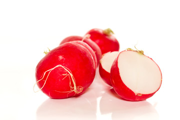fresh radish