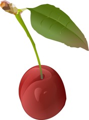 cherry