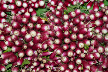 Bottes de radis en cagette.