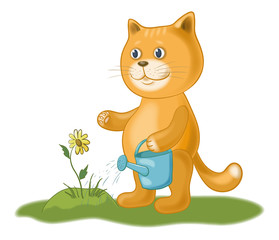 Chat arrosant une fleur