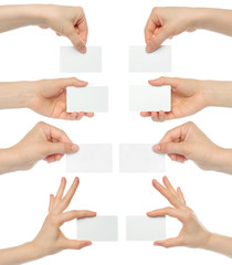 Hands hold business cards collage on white background . © rvlsoft