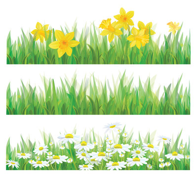 Vector of daffodil flowers, grass and chamomiles isolated.