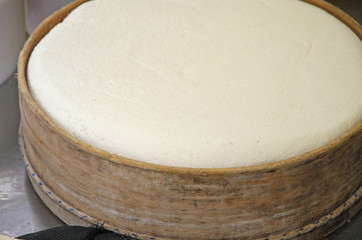 cheese factory for the production of cheese and fresh caciotta c