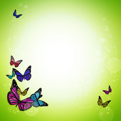spring green background with colorful butterflies