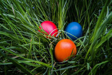 Easter eggs in the grass
