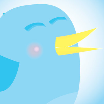 Social network blue bird, media concept.