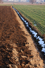 campo arato nella pianura lombarda