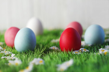 Fototapeta na wymiar Easter Eggs In Grass
