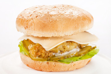 cheeseburger on the plate