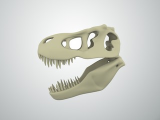 T-Rex 3d skull © pfheonixx22