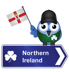 Comical Northern Ireland sign