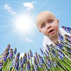 Blick ins Frühlingsnest - Frühlingsangebot