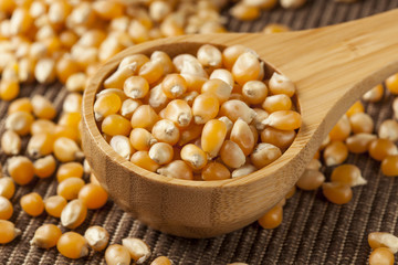 Organic Raw Yellow Corn Kernels