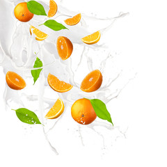 Orange in milk splash, isolated on white background 