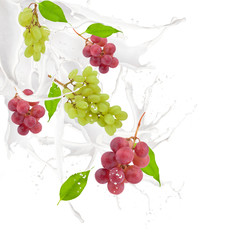 Grape in milk splash, isolated on white background 