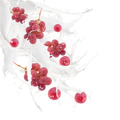 Grape in milk splash, isolated on white background 