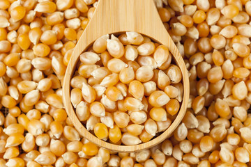 Organic Raw Yellow Corn Kernels