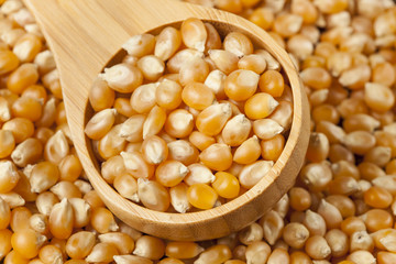 Organic Raw Yellow Corn Kernels