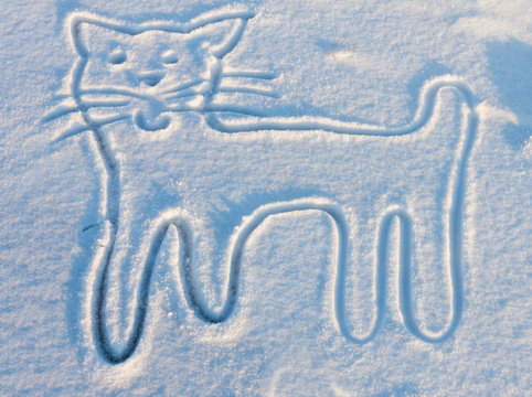 Hand draw of a cat in snow